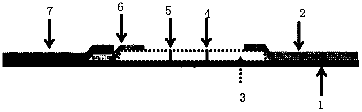 IL-6 biotin-streptavidin immunochromatographic detection card