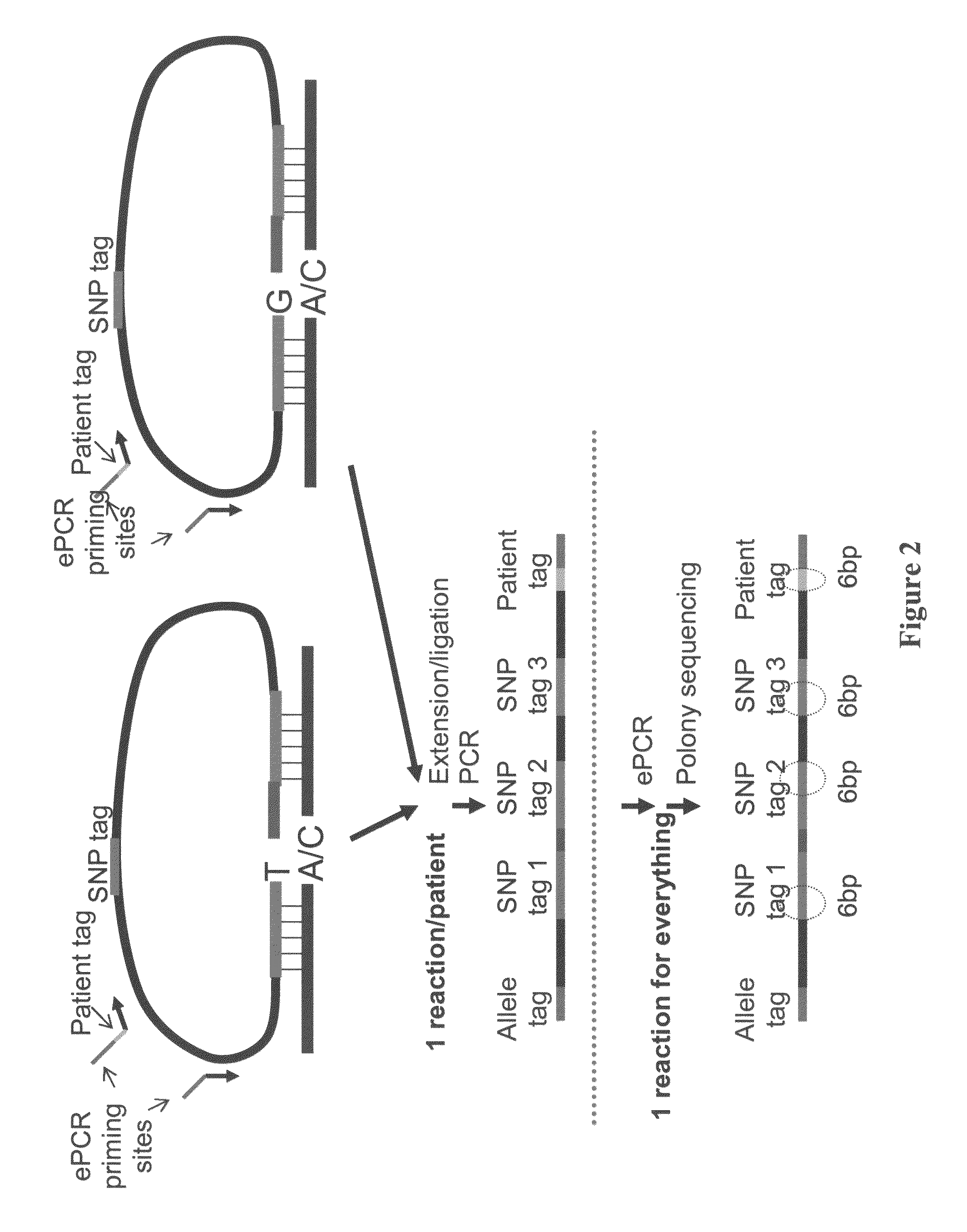 Methods for making nucleotide probes for sequencing and synthesis