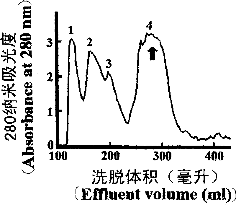 Application of king cobra toxin protease inhibitor and its derivatives