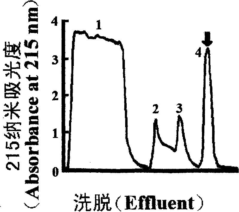 Application of king cobra toxin protease inhibitor and its derivatives