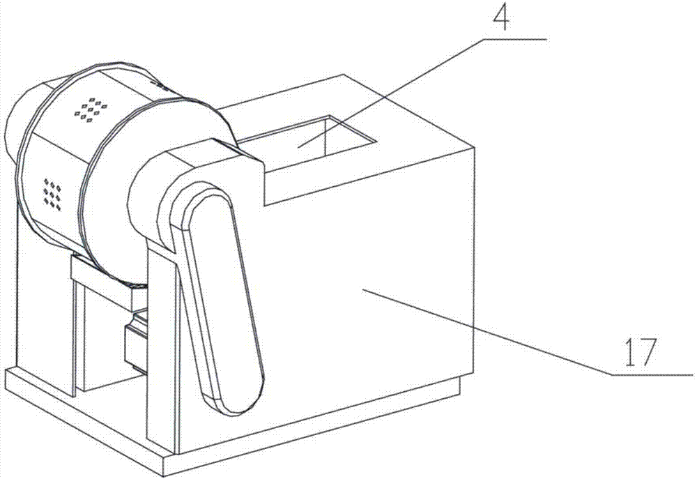 Automatic feeding device for nondestructive testing of leafy vegetables