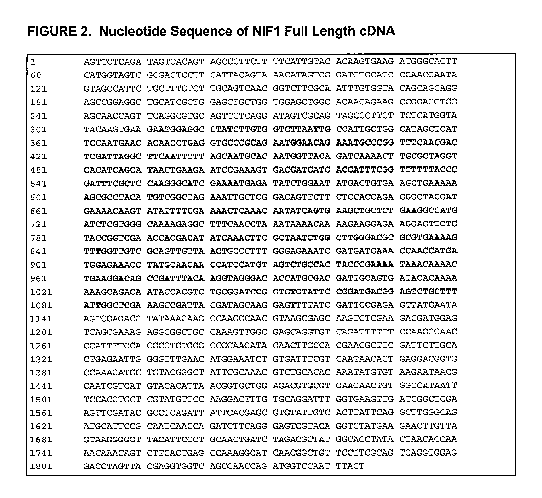 Process for the preparation of neutrophil inhibitory factor