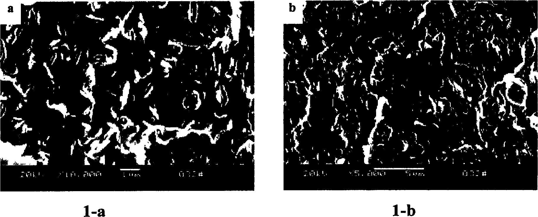 Trimeric cyanamide cyanureate fire retarding polyamide nano-composite meterial and its preparation method