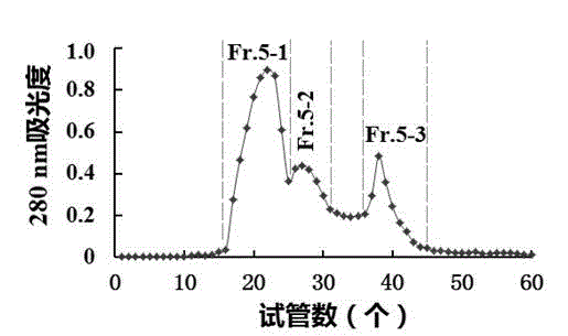 Antioxidant polypeptide with Raja porosa meat protein as well as preparation method and application of antioxidant polypeptide