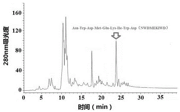 Antioxidant polypeptide with Raja porosa meat protein as well as preparation method and application of antioxidant polypeptide