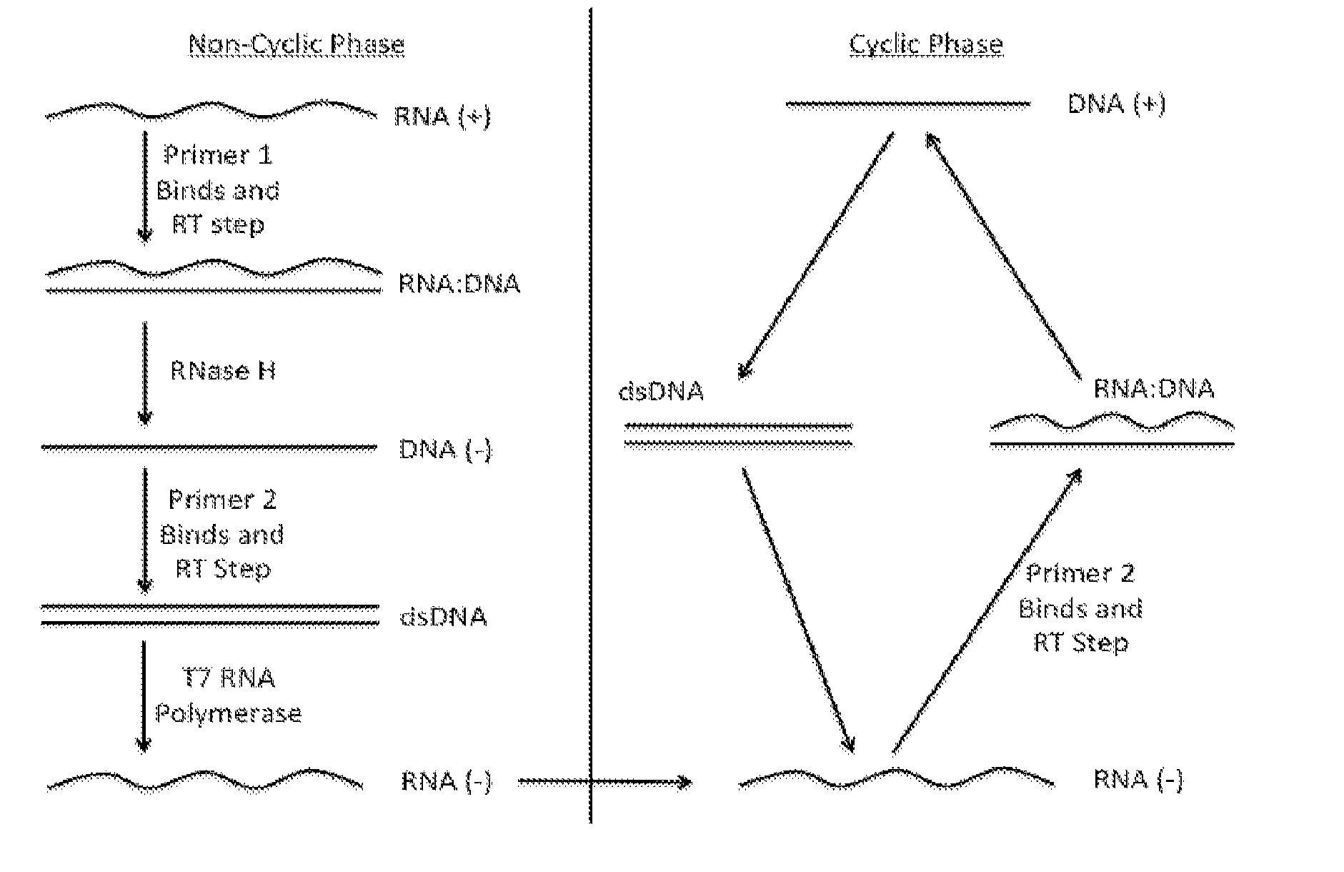 Detection of short RNA sequences