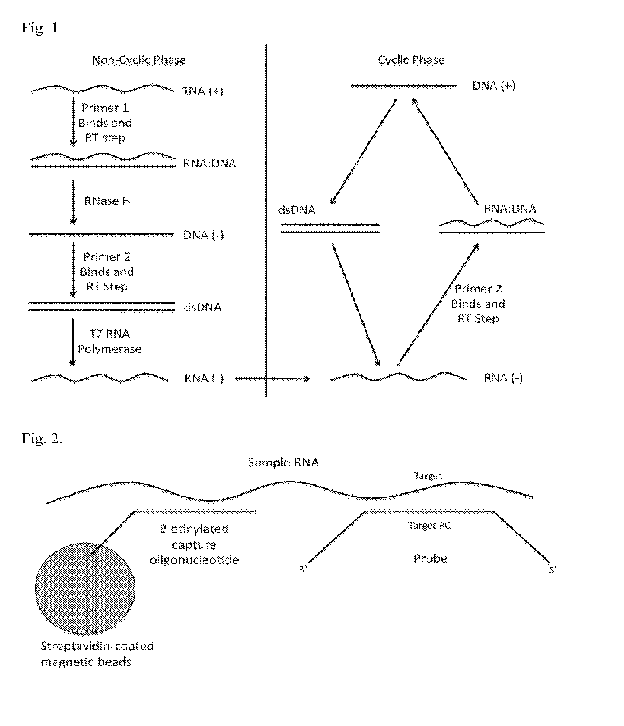 Detection of short RNA sequences