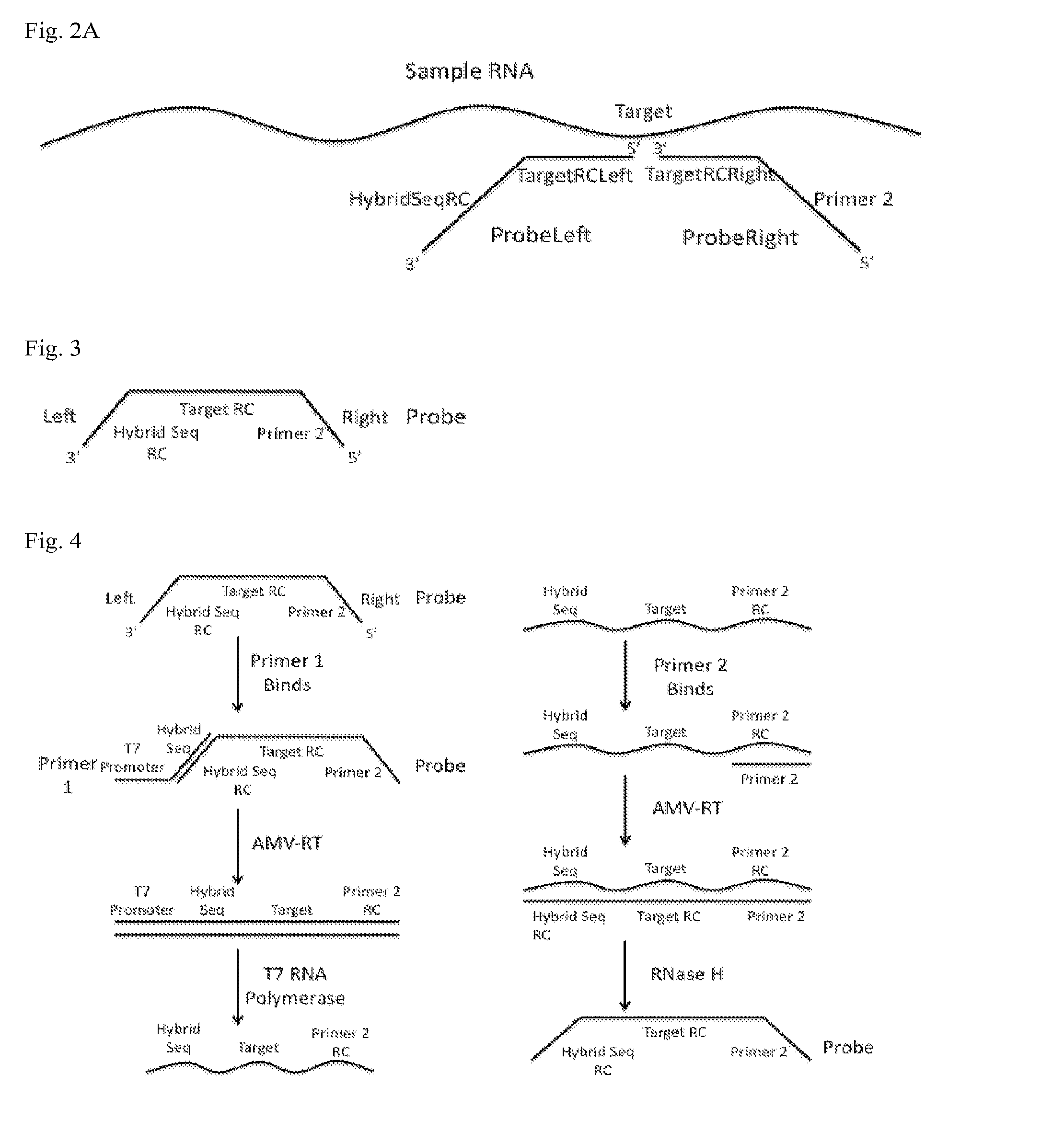 Detection of short RNA sequences