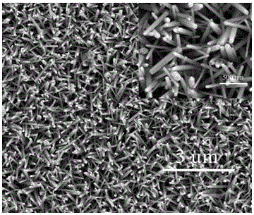 Preparation method of ZnO nano-structure with petal effect