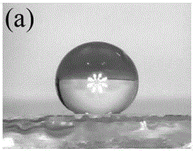 Preparation method of ZnO nano-structure with petal effect