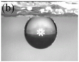 Preparation method of ZnO nano-structure with petal effect