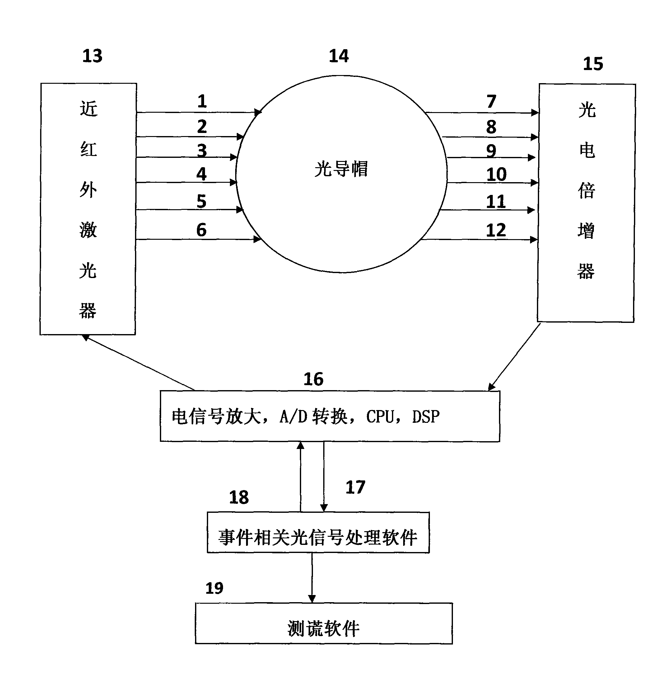 Affair-relative light signal collection analysis system and lie detection method