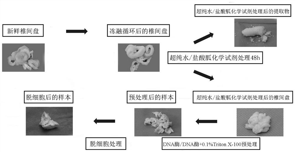 Bionic artificial temporomandibular joint disc and preparation method thereof