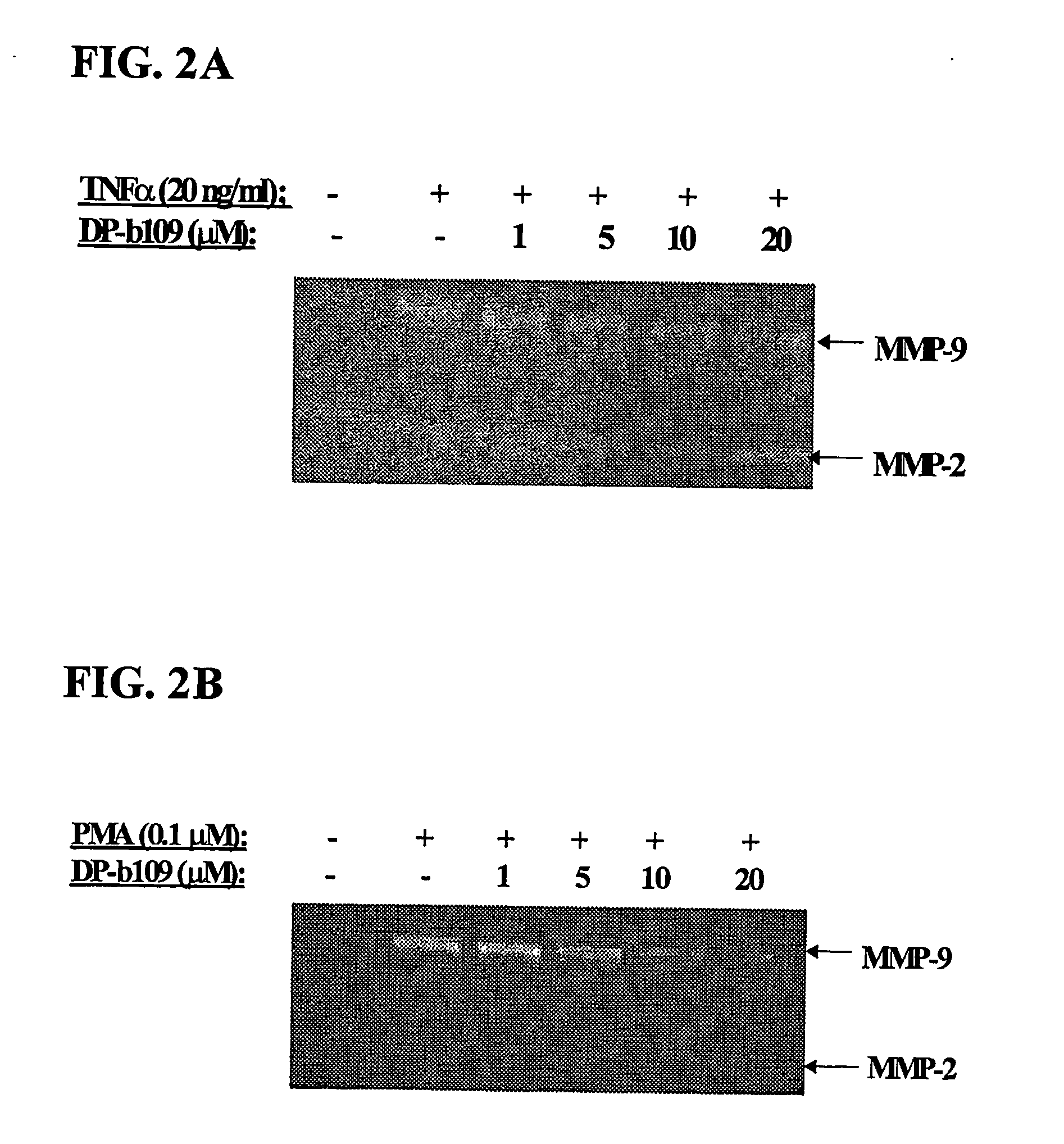 Lipophilic diesters of chelating agent for inhibition of enzyme activity