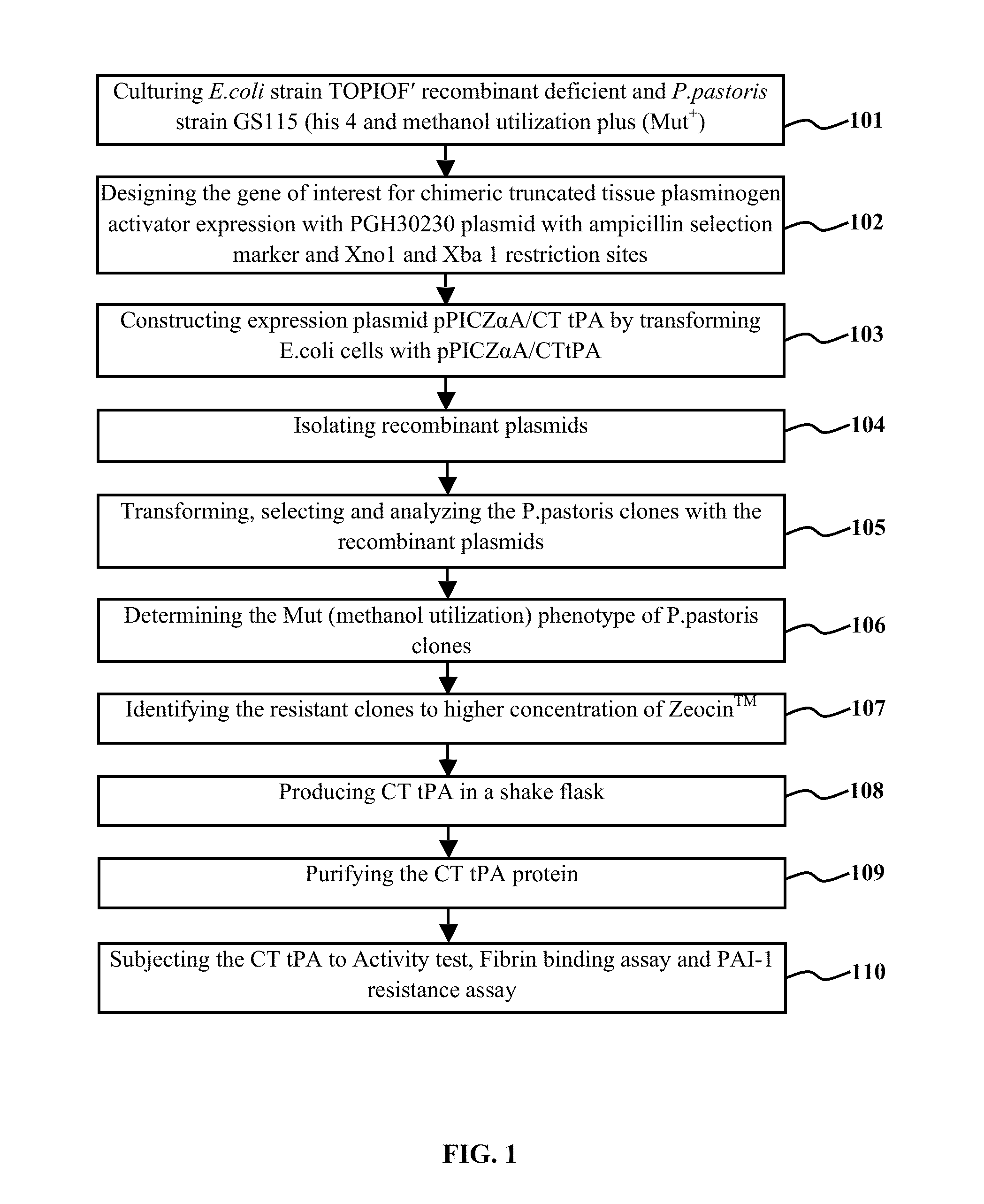 CHIMERIC TRUNCATED TISSUE PLASMINOGEN ACTIVATOR (t-PA) RESIATANT TO PLASMINOGEN ACTIVATOR INHIBITOR-1 AND IMPROVED BIOCHEMICAL PROPERTIES