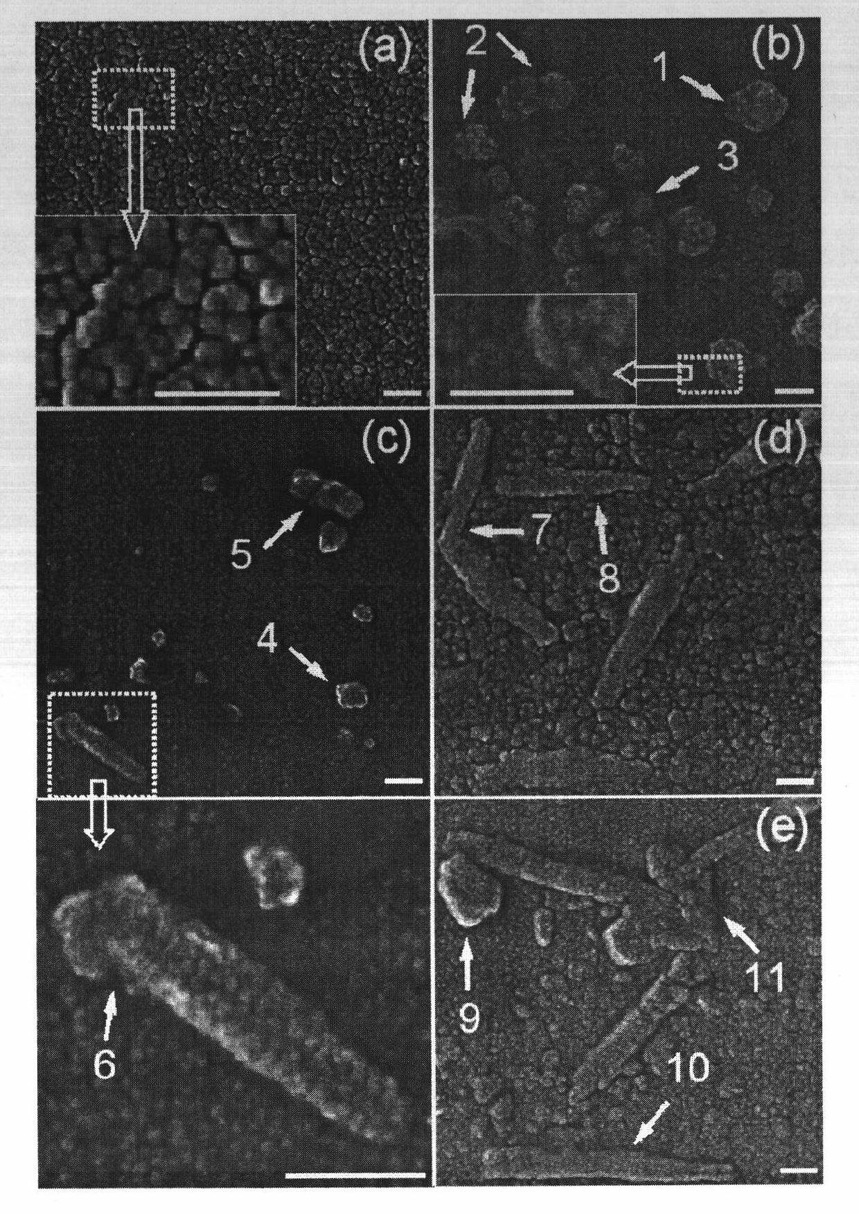 Preparation method of nano copper film-based copper nano structure