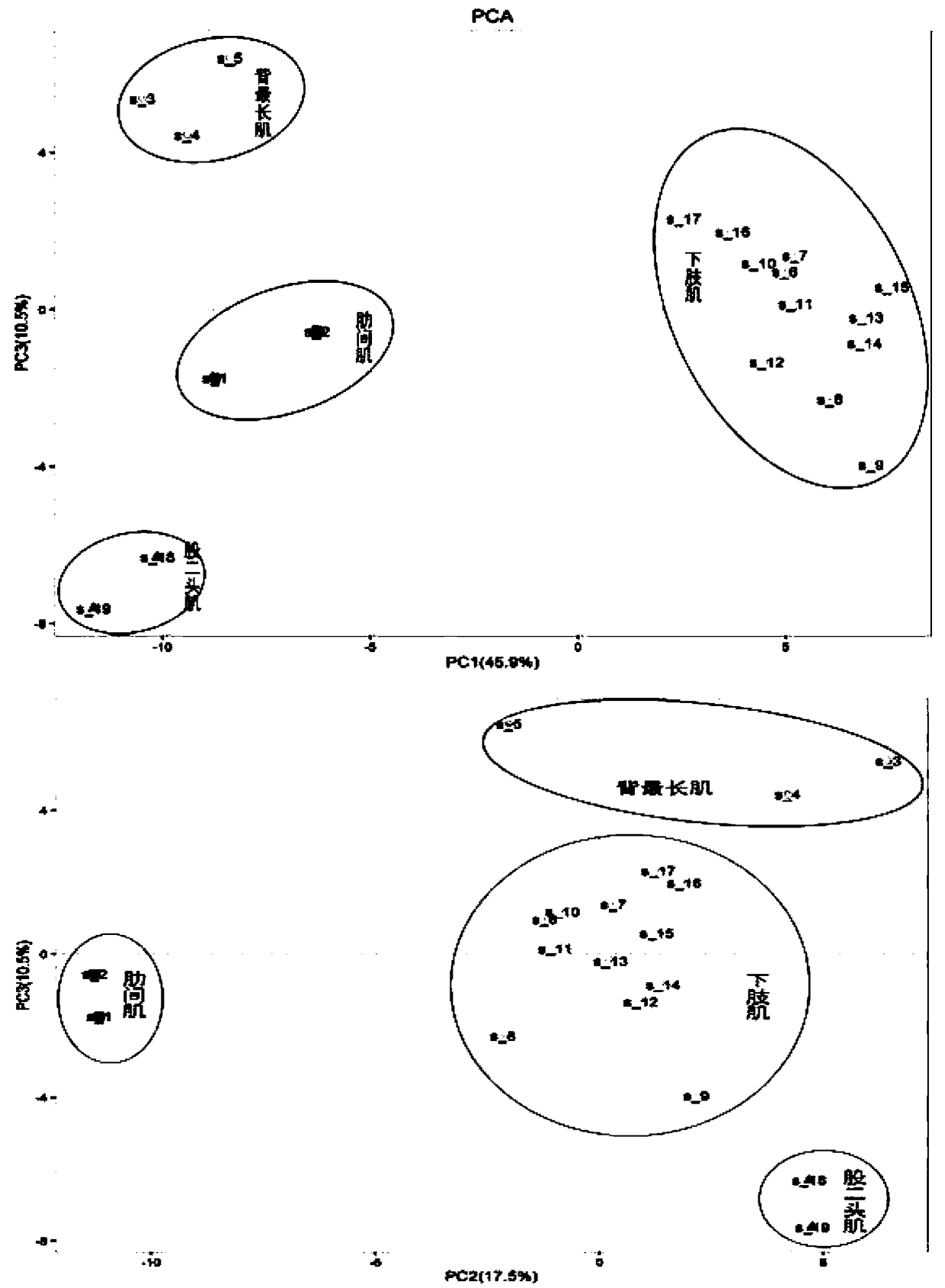 Sheep meat quality SNP (single nucleotide polymorphism) marker and liquid chip formed by same