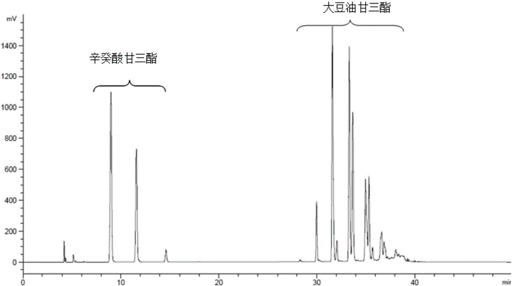 Method for enzymatically synthesizing medium-long chain structure triglyceride