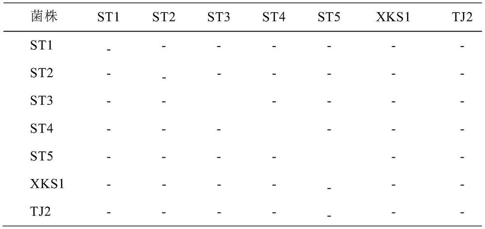 Preparation and application of a composite microbial agent for coal gangue artificial ecological matrix