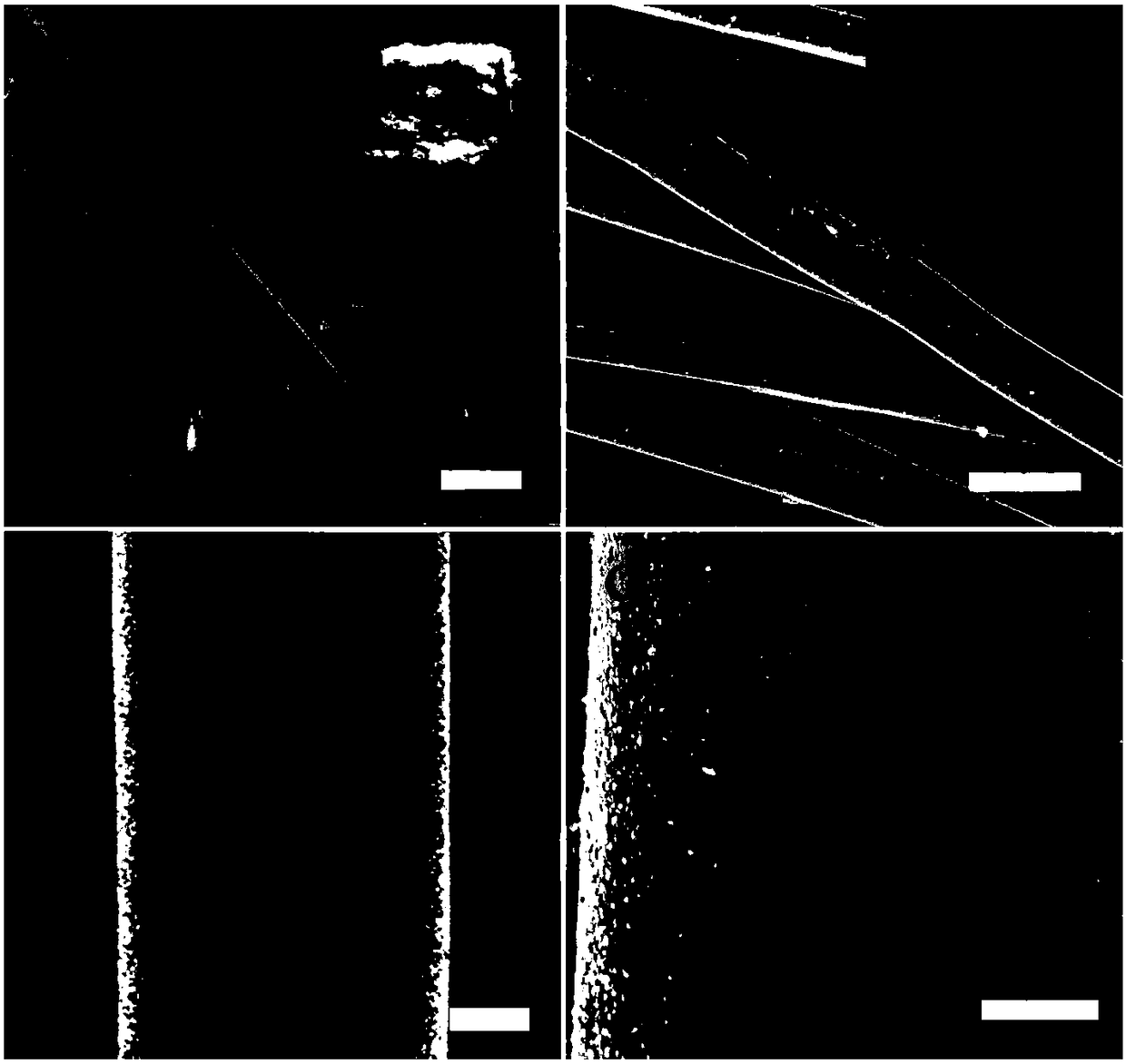 Preparation of fibrous catalyst loaded with metal nanoparticles and application