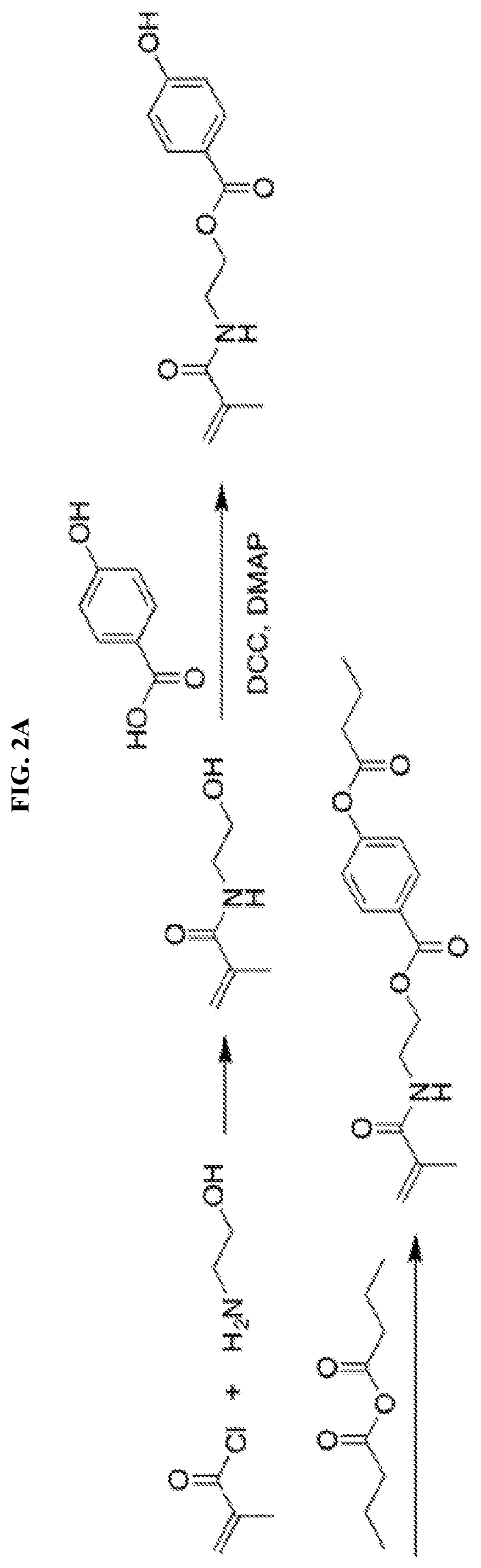 Polymer materials for delivery of short chain fatty acids to the intestine for applications in human health and treatment of disease