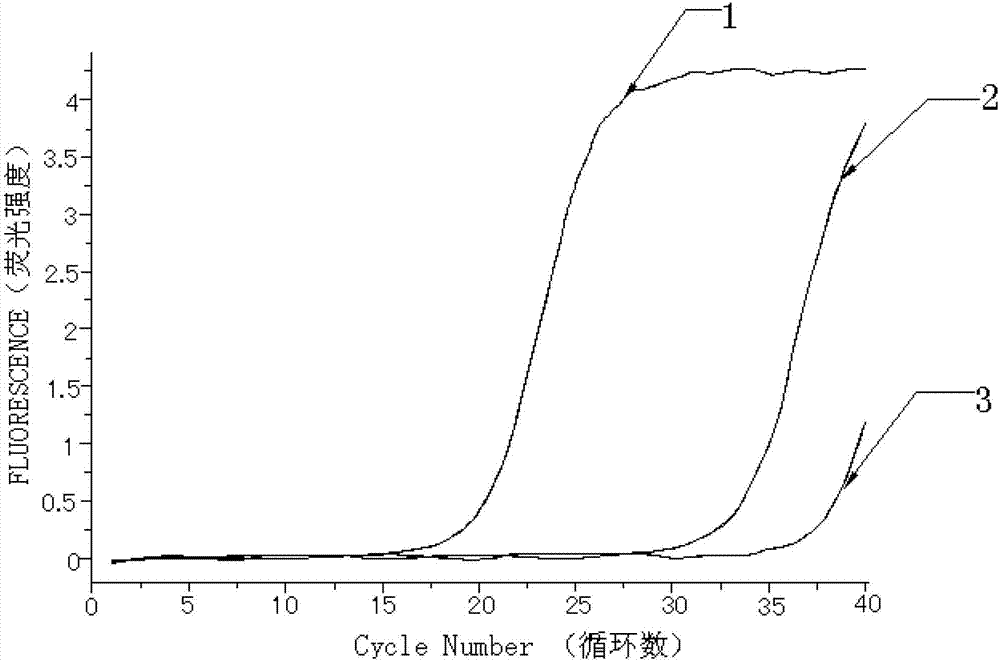 Kit for quantitatively detecting W515 site mutation of MPL genes