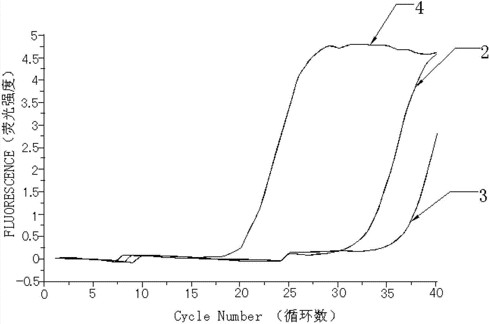 Kit for quantitatively detecting W515 site mutation of MPL genes