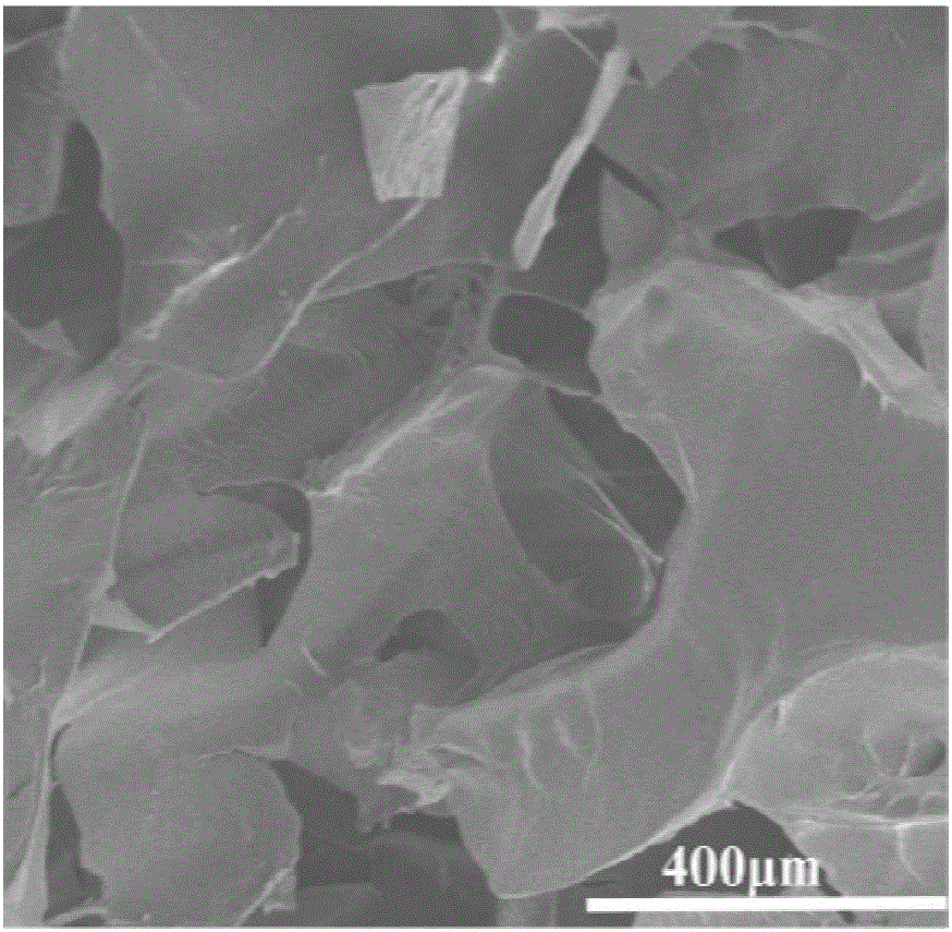 Preparation and application of nano-silver-carrying PNIPAM/PVA composite thermosensitive gel