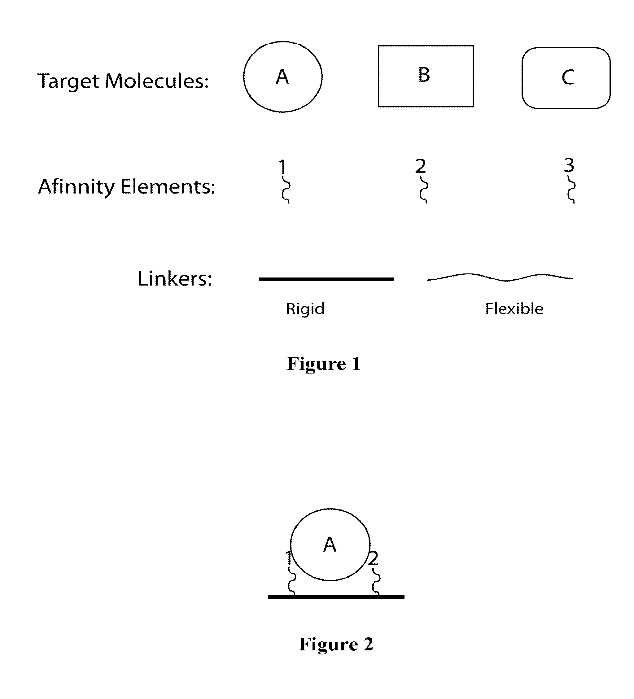 Synthetic Antibodies