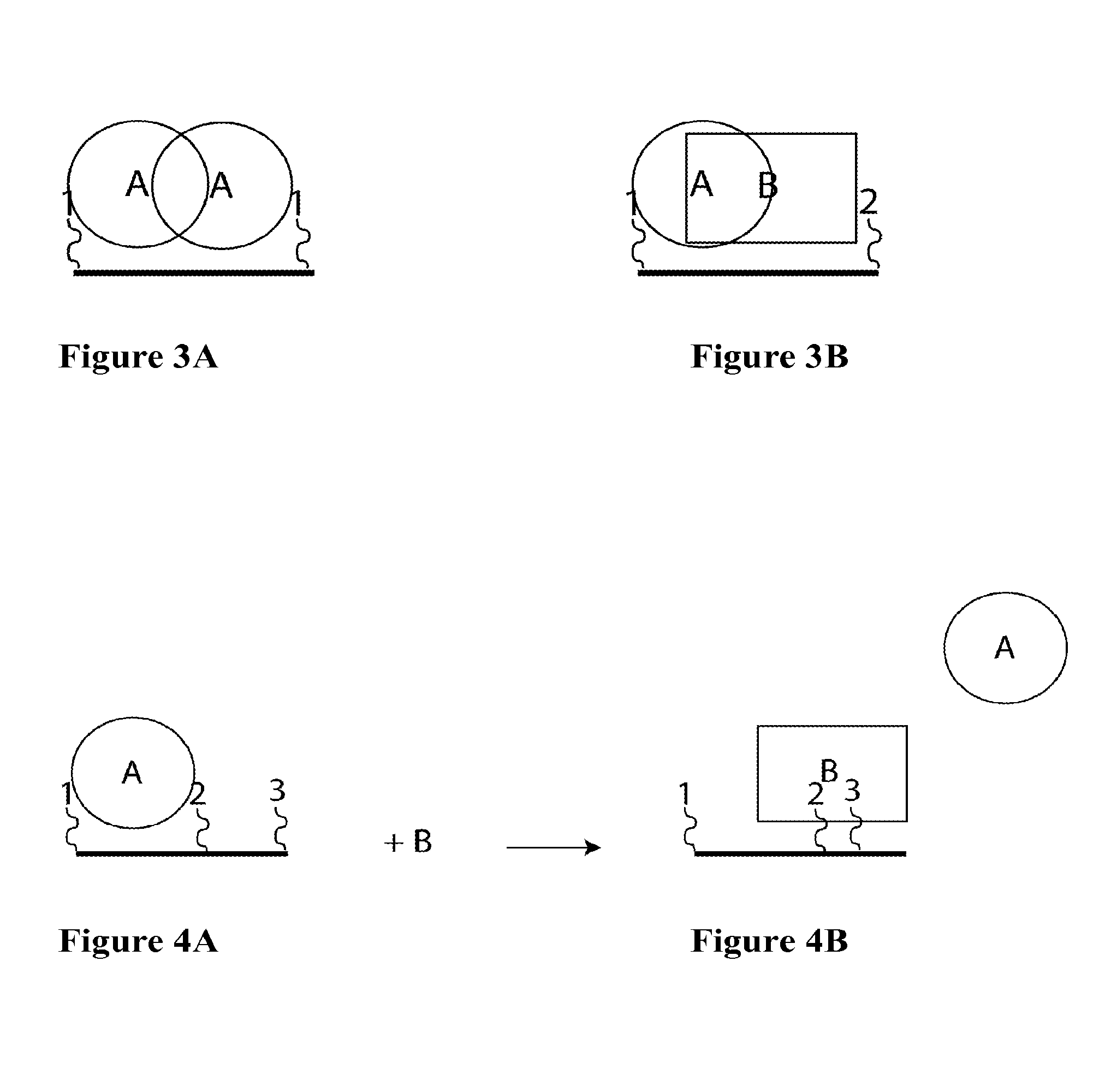 Synthetic Antibodies