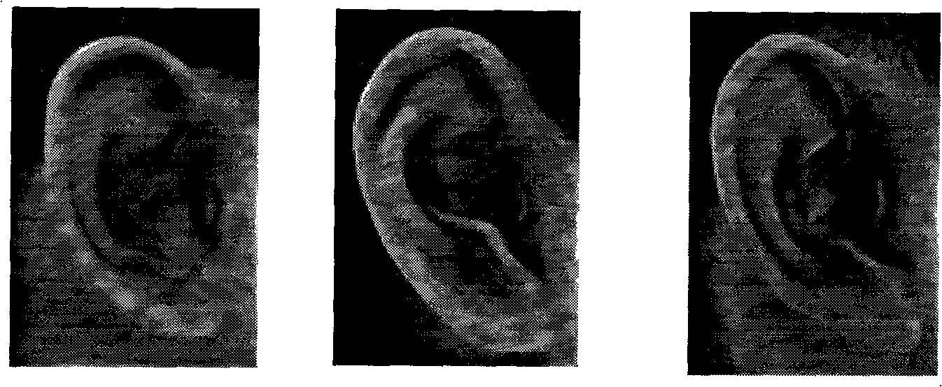 Method for extracting human ear image edge combining multiple methods