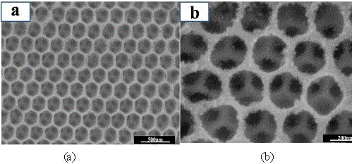 Method for preparing SnO2 PC/CdS QDs composite photocatalyst with high-stability visible-light catalytic activity