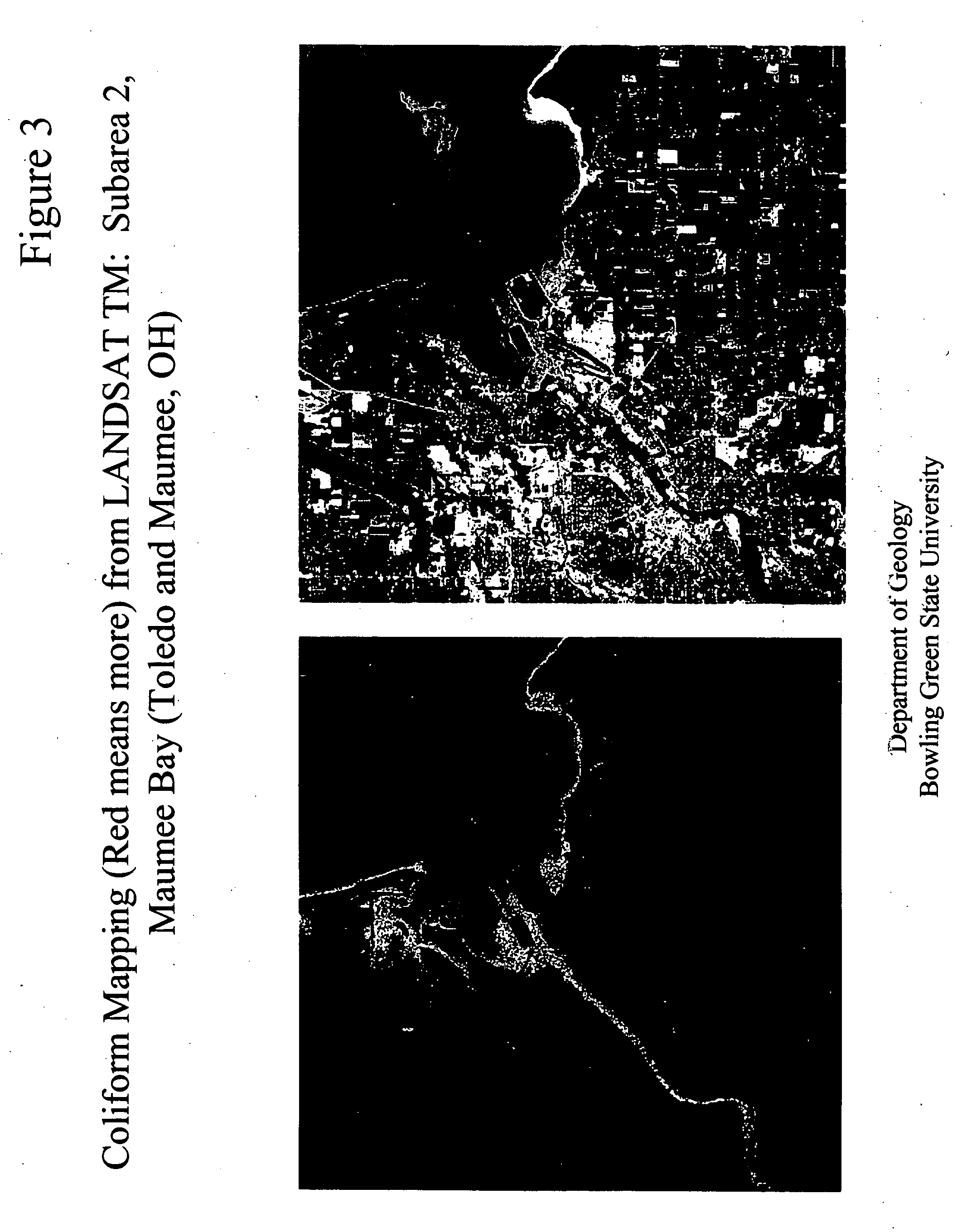 Method and apparatus for detecting coliform bacteria from reflected light