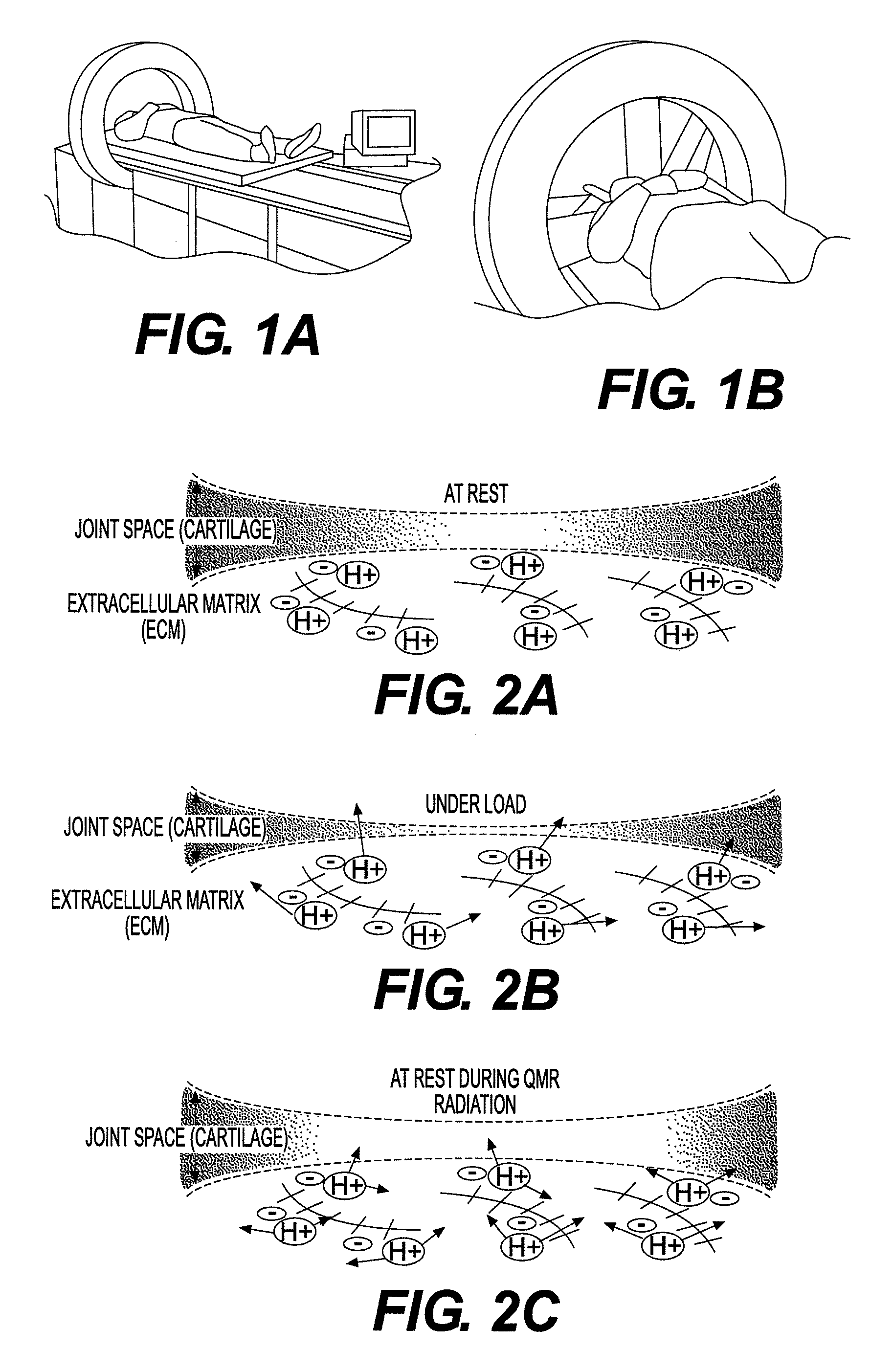 Method for tissue regeneration or degeneration in human and an apparatus therefore