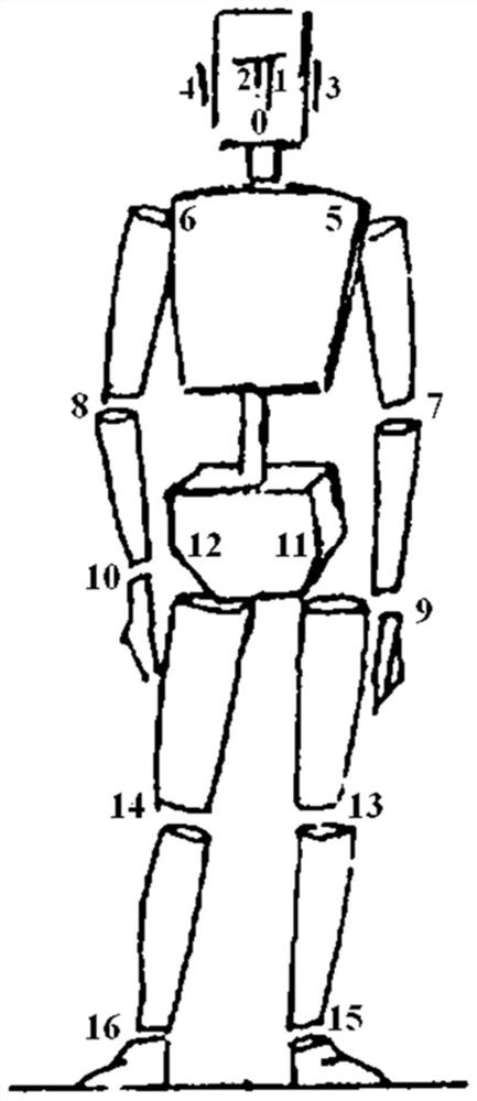 Fall detection method based on key points