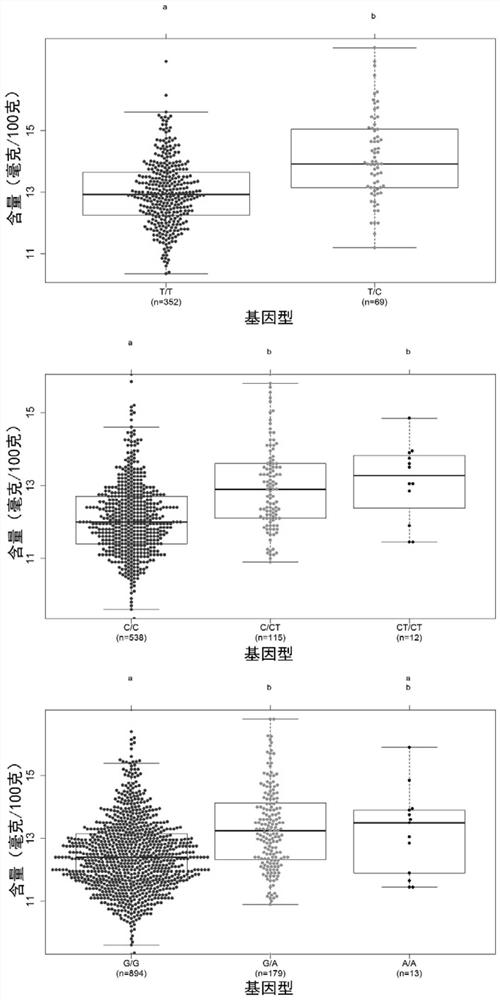 SNP marker affecting content of guanine in individual pigs