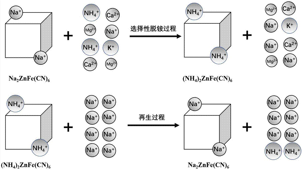 Preparation method of ammonium removing material for ferrous zinc sodium cyanide deammonium material and application of deammonium material to sewage ammonium removal