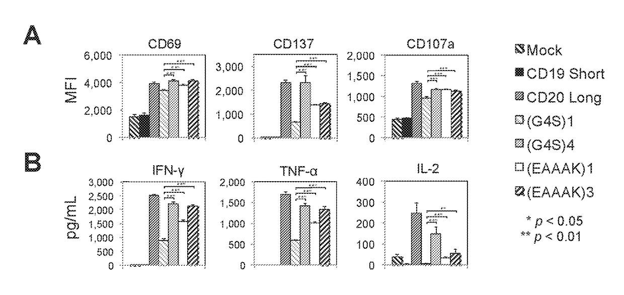 BISPECIFIC OR-GATE CHIMERIC ANTIGEN RECEPTOR RESPONSIVE TO CD19 and CD20