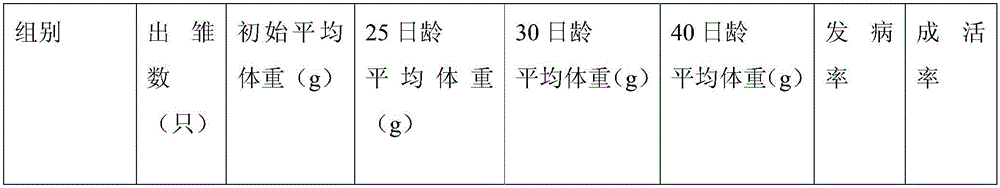 Method for raising Hongyu laying quails