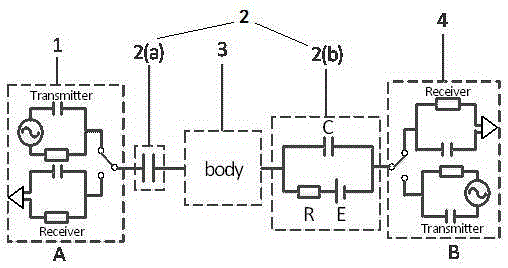 Field-circuit coupled capacitive human body channel modeling method for wearable device