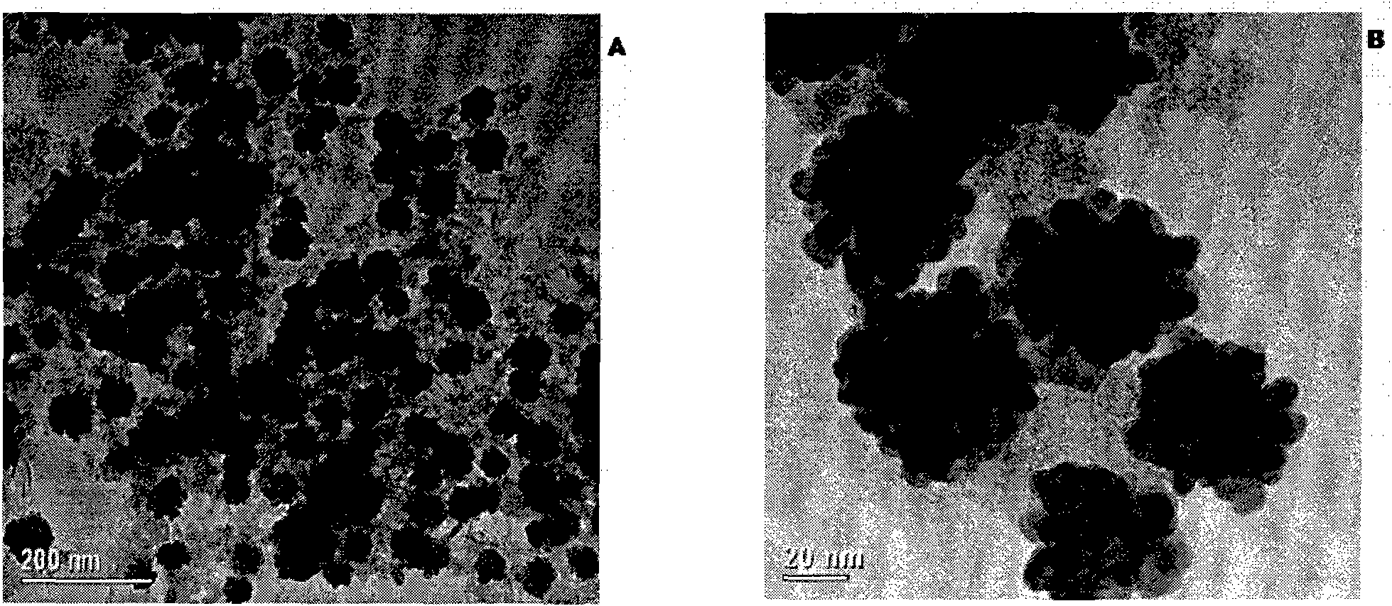 Magnetic relaxation switch based on Fe3O4 at Au and preparation method thereof