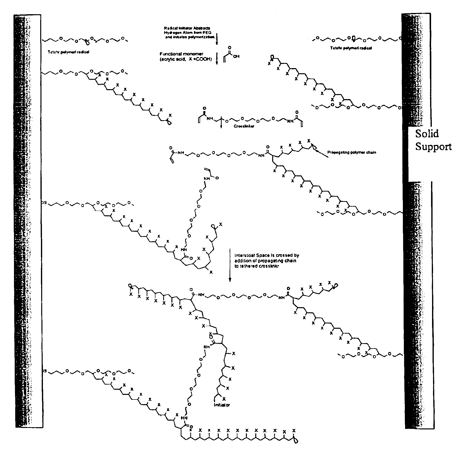 Composite matrices with interstitial polymer networks