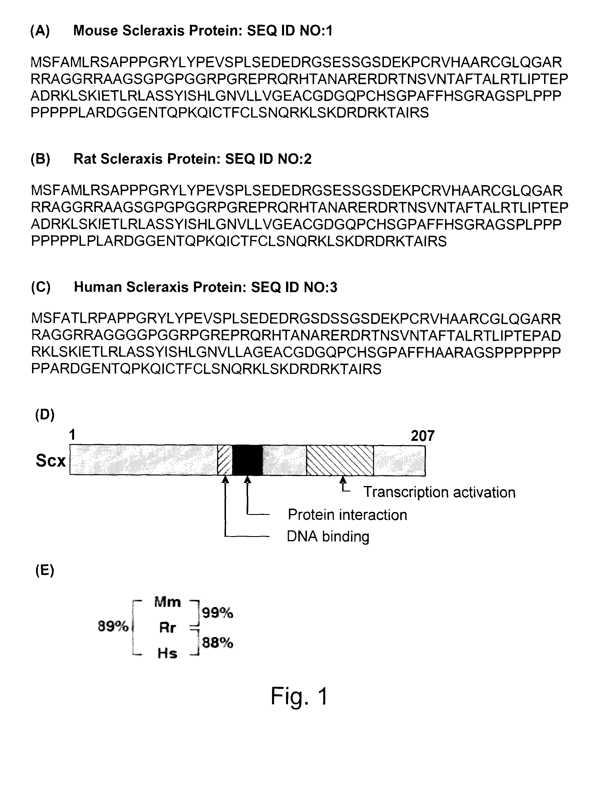 Inhibition of collagen synthesis