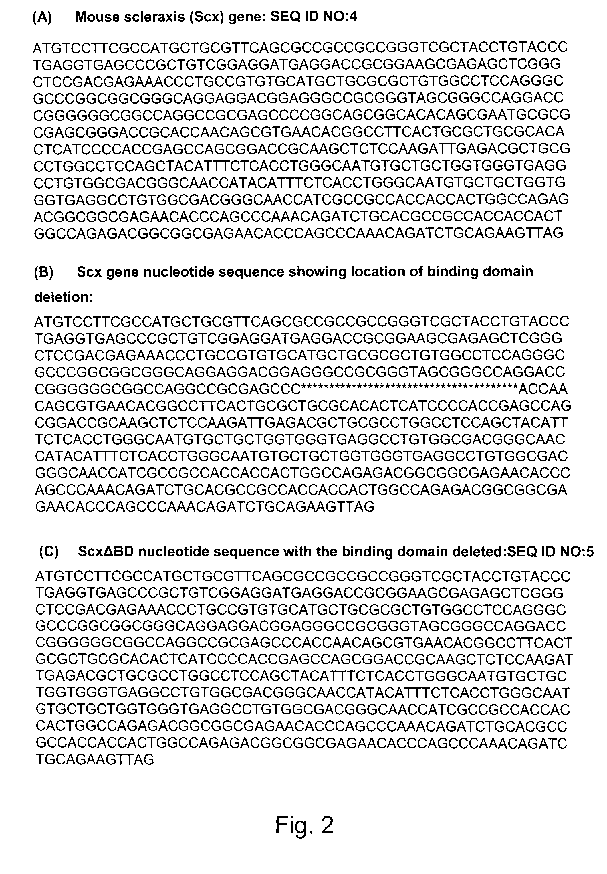 Inhibition of collagen synthesis