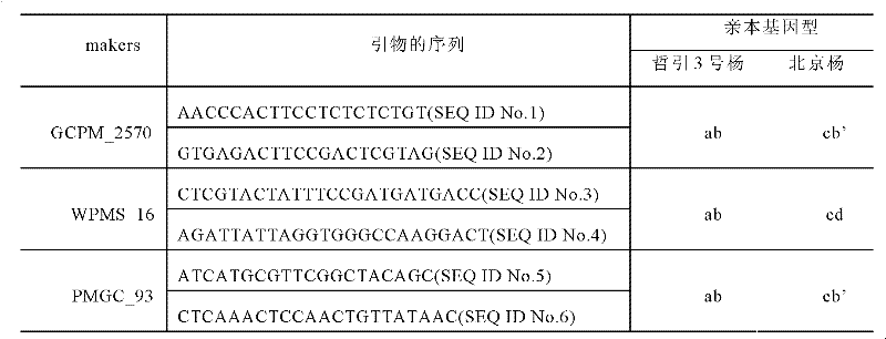 Method for directly identifying homologous recombination of higher plant DNA