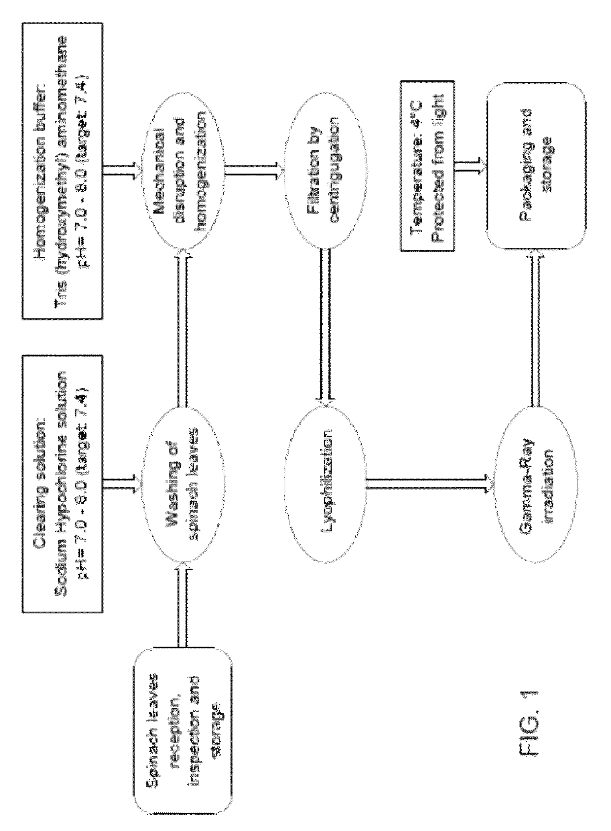 Composition for the Prevention and/or Treatment of Cardiovascular Diseases