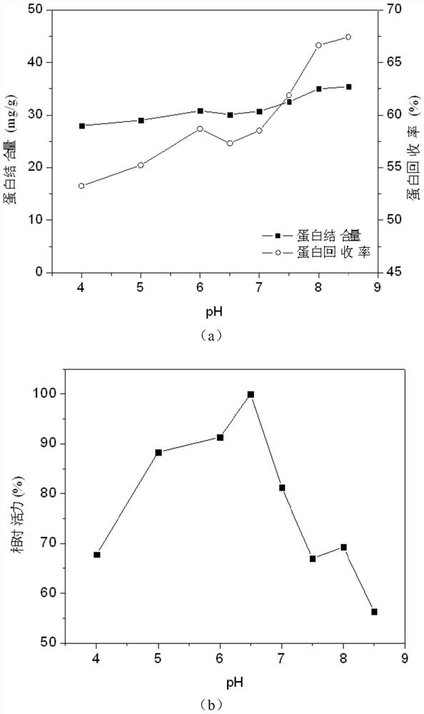 A method for directional immobilization of lipase by nano-iron ferric oxide