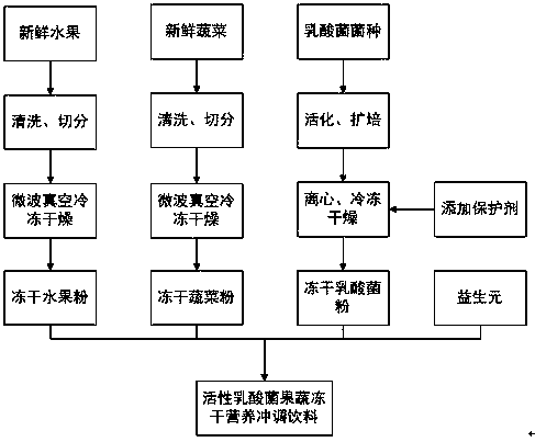 Active lactic acid bacterium and fruit and vegetable freeze-dried nutritional brewed beverage