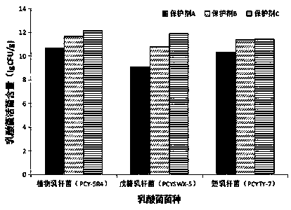 Active lactic acid bacterium and fruit and vegetable freeze-dried nutritional brewed beverage