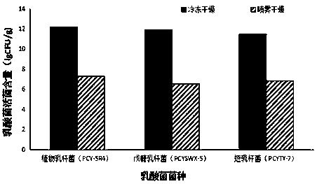 Active lactic acid bacterium and fruit and vegetable freeze-dried nutritional brewed beverage